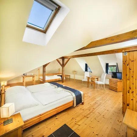 麦西迪拉加尼酒店 3* Český Krumlov