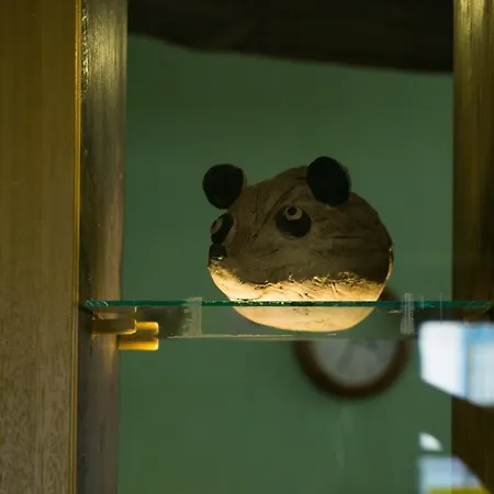 가르니 미시 디라
