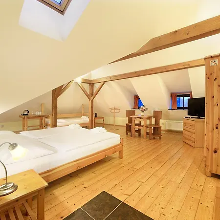 Hotel Garni Mysi Dira 3*