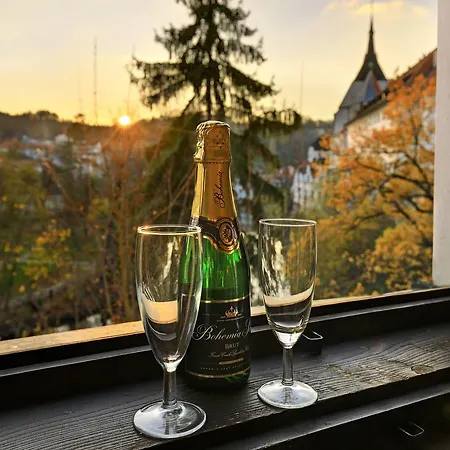 Отель Garni Mysi Dira