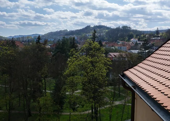 Hotel Garni Mysi Dira 3*