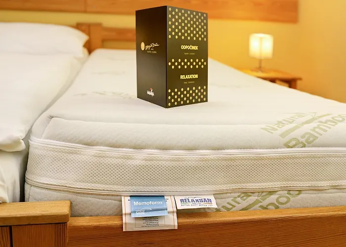 Ξενοδοχείο Garni Mysi Dira Český Krumlov