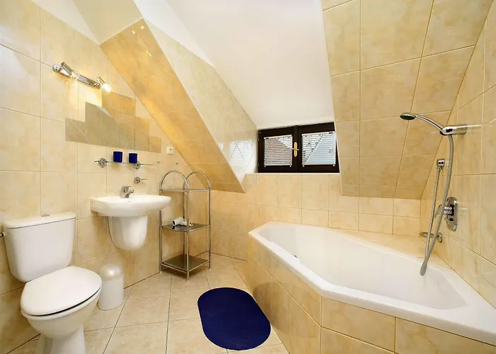 Hotel Garni Mysi Dira 3*